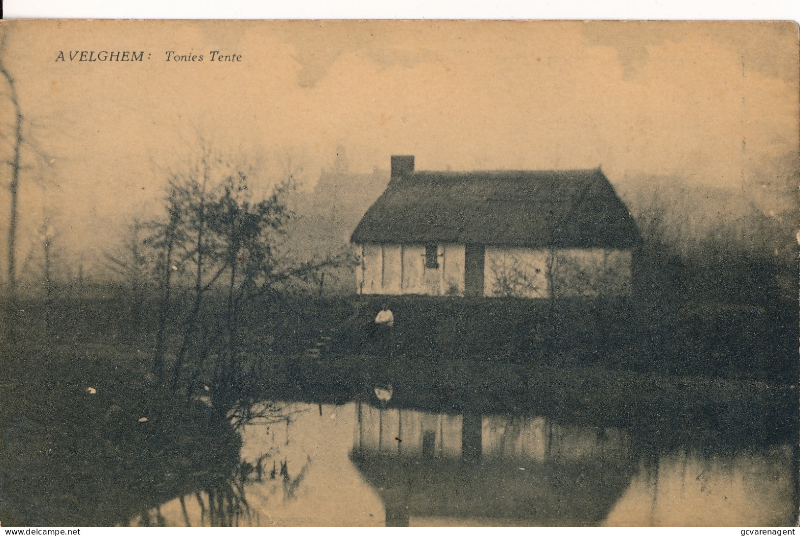 AVELGEM    TONIES TENTE              ZIE SCANS