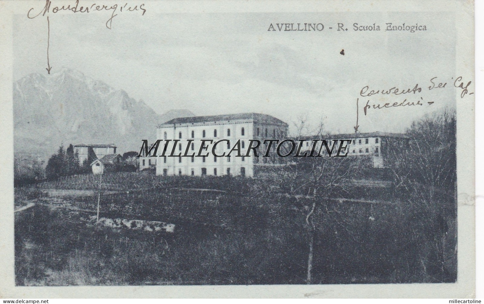 AVELLINO:  R. Scuola Enologica    1920
