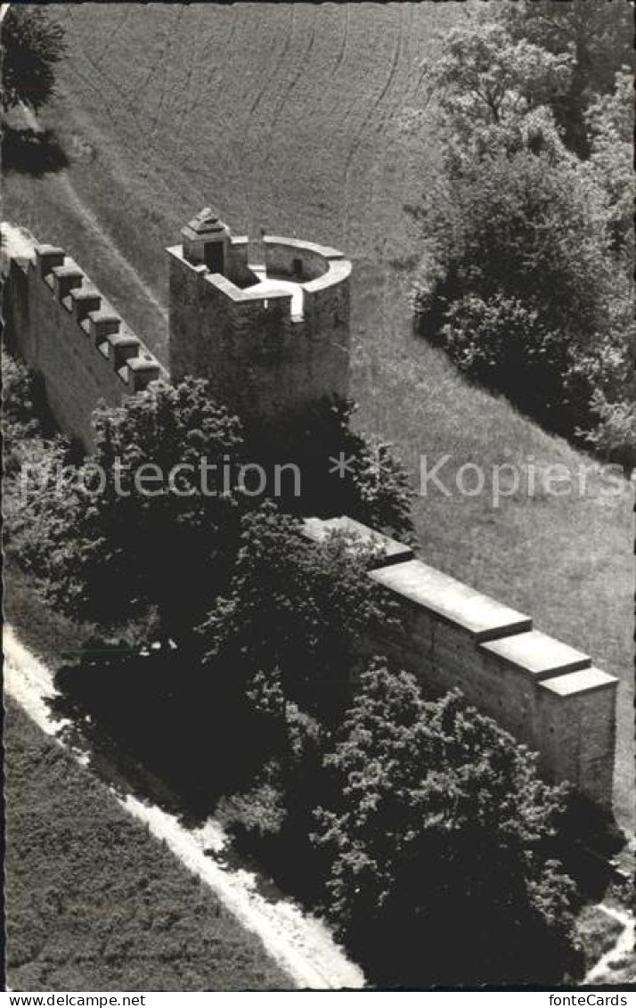 Avenches Ruines Romaines Avenches La Tornallaz