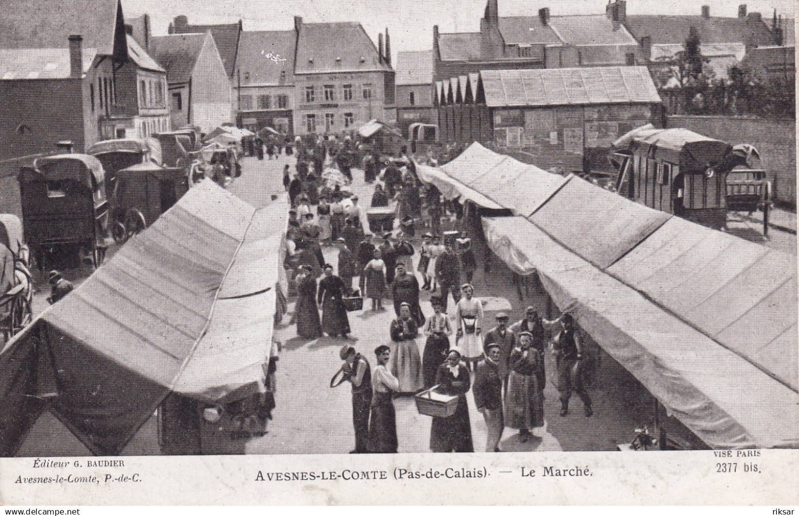 AVESNES LE COMTE(MARCHE) LAPINA