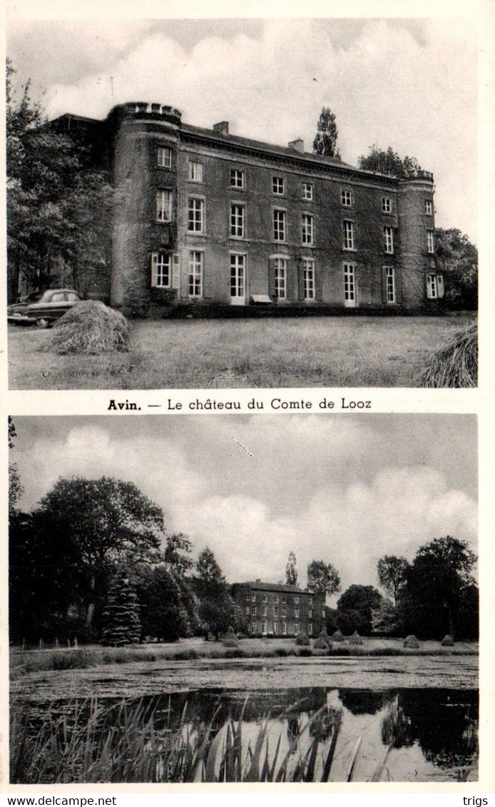 Avin - le Château du Comte de Looz