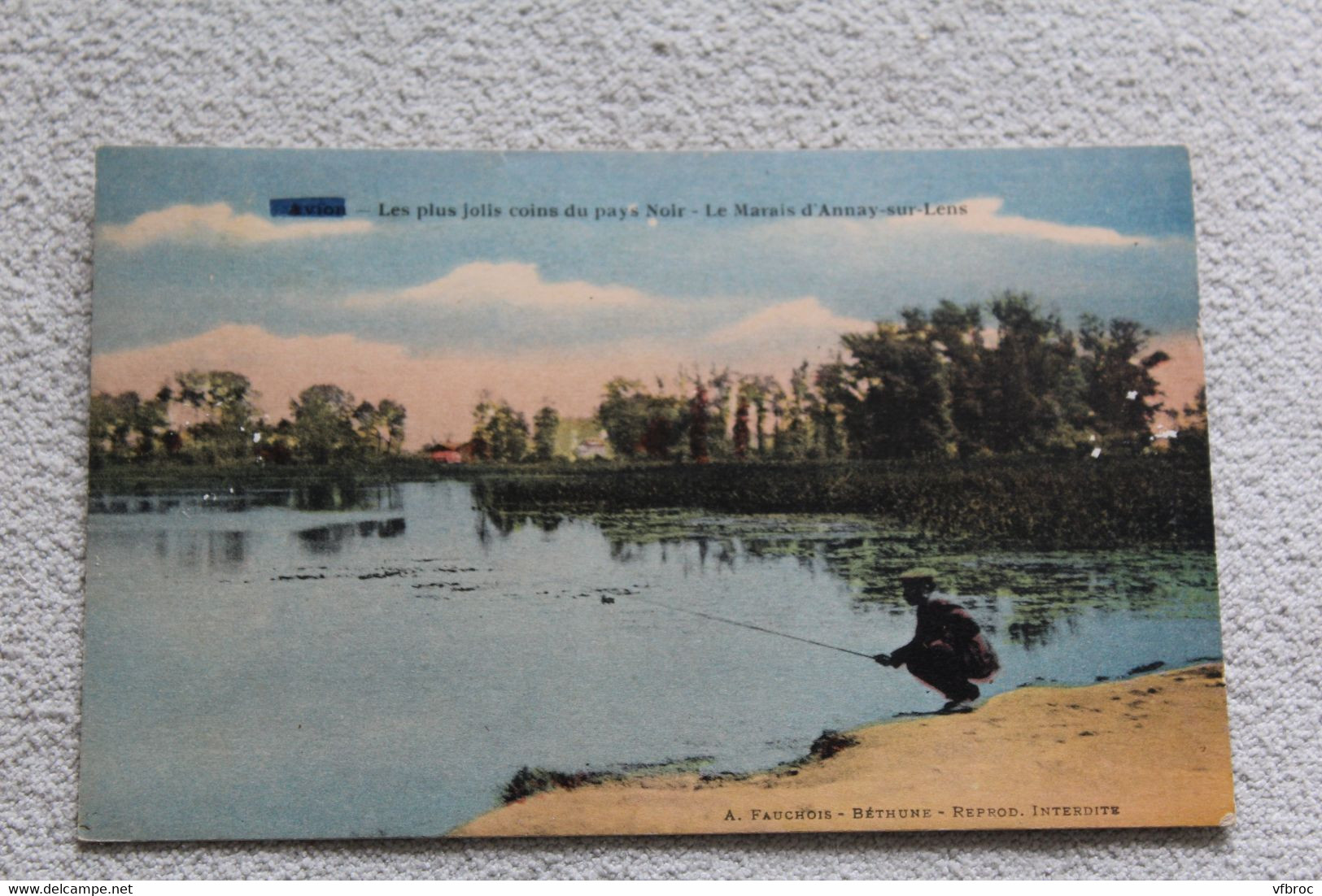 Avion, jolis coins du pays noir, le marais d'Annay sur Lens, Pas de Calais 62