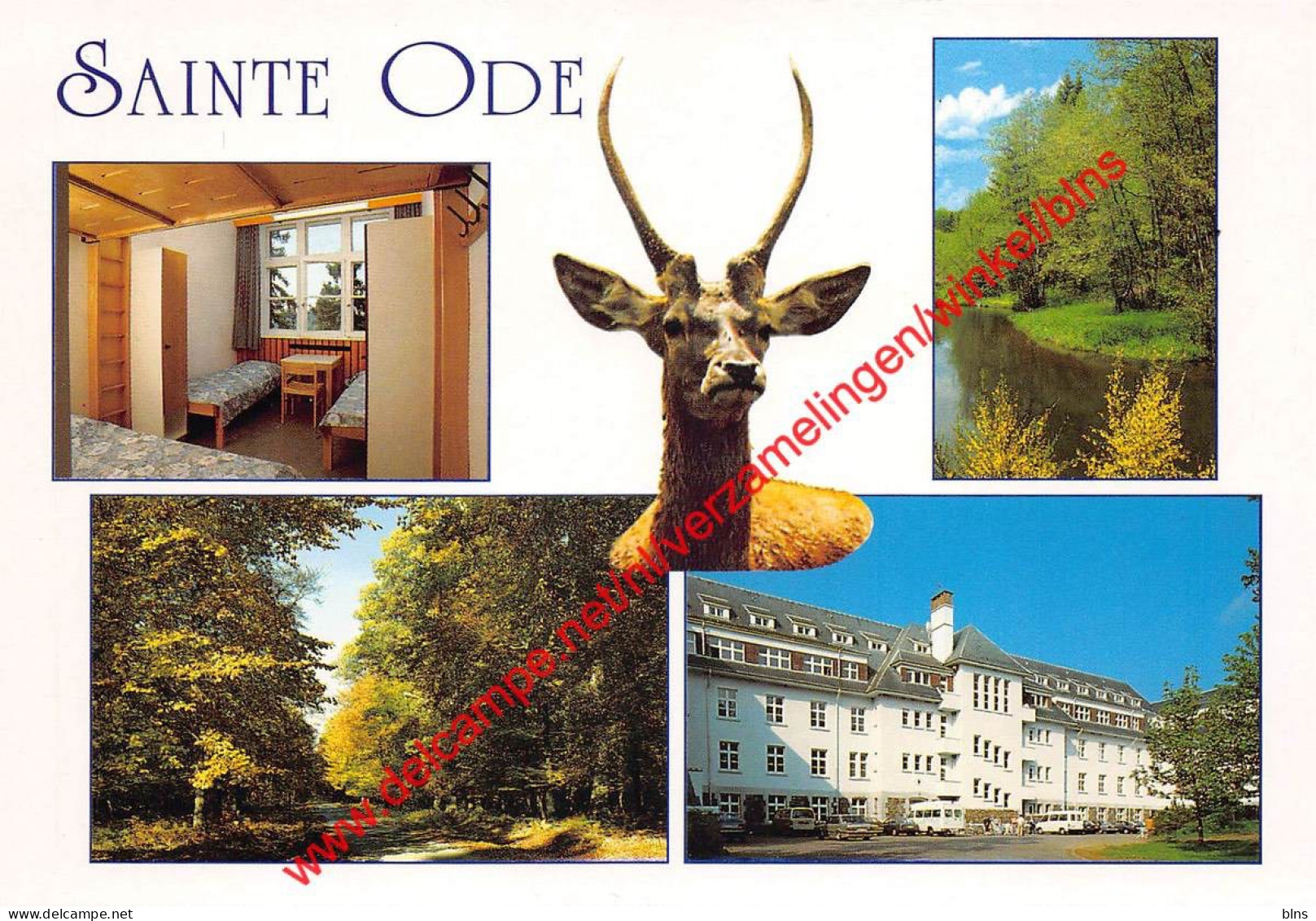 Aviscourt - Vakantiecentrum der Kristelijke Mutualiteiten - Sainte-Ode