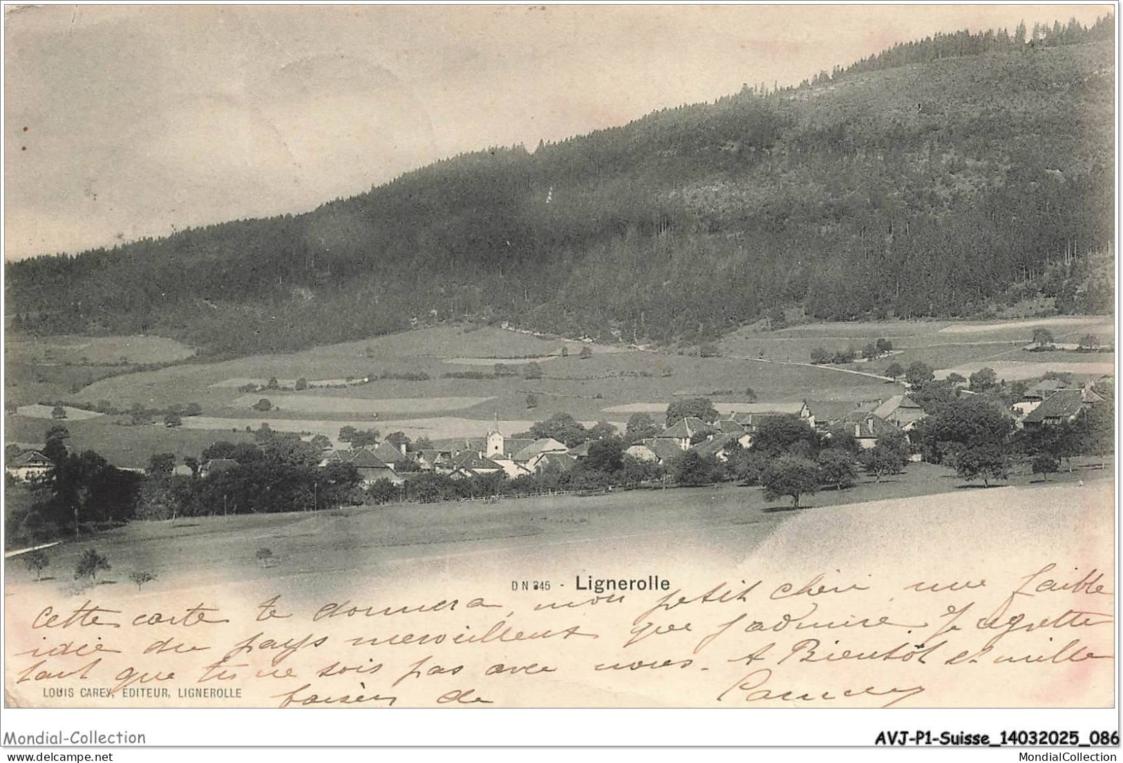 AVJP1-0044-SUISSE - LIGNEROLLE - Panorama