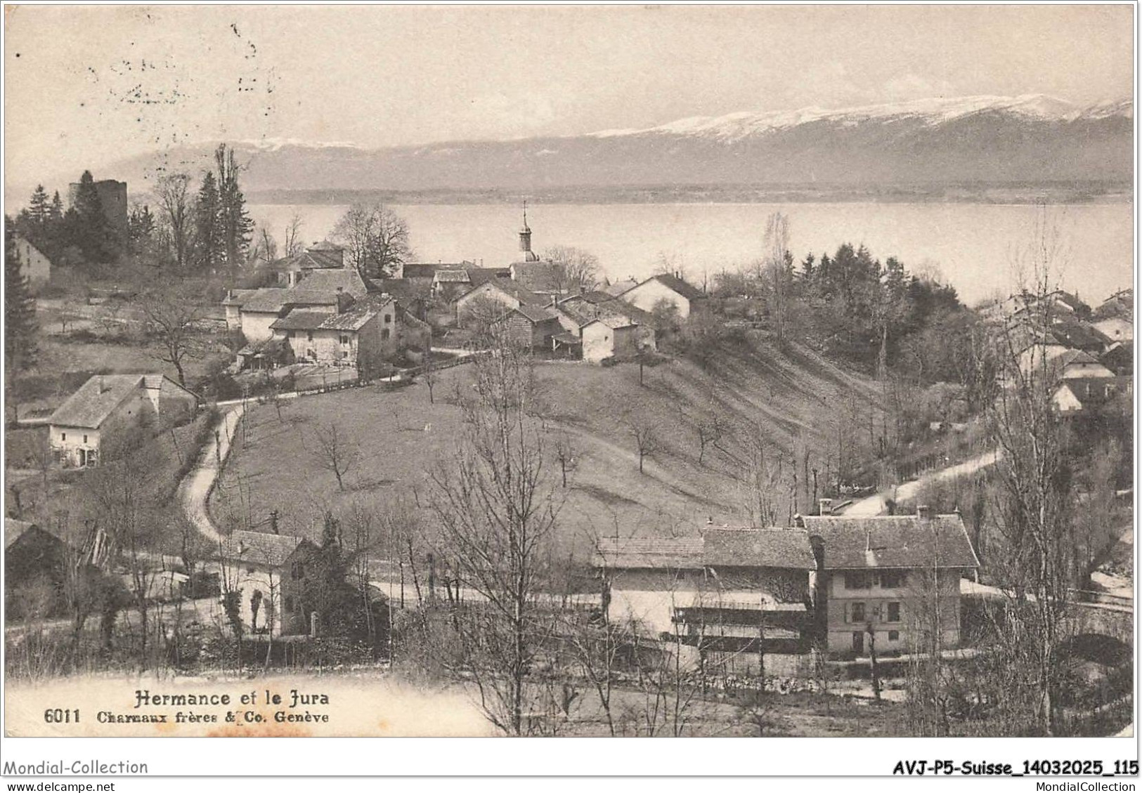 AVJP5-0303-SUISSE - JURA-GENEVE - Hermance et le jura - Panorama