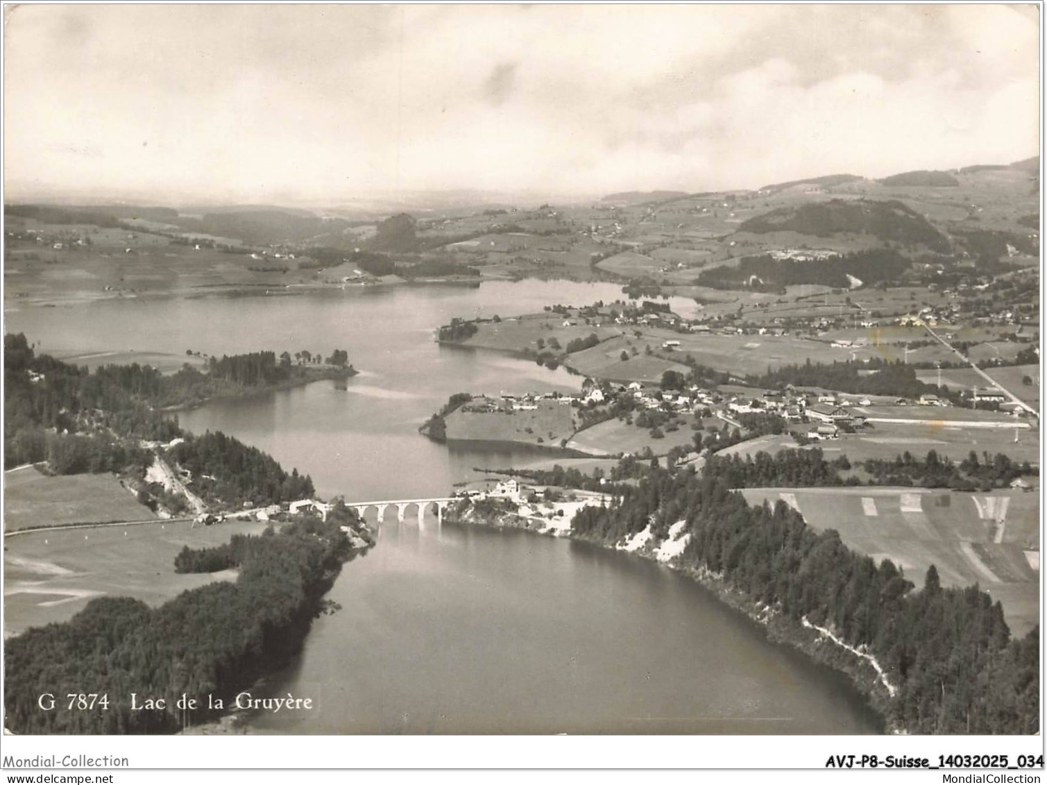 AVJP8-0455-SUISSE - Lac de la gruyere