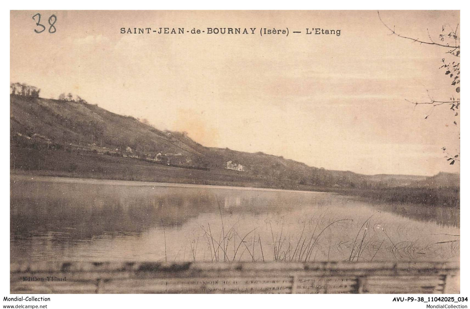 AVUP9-0555-38 - SAINT-JEAN-DE-BOURNAY - L'étang