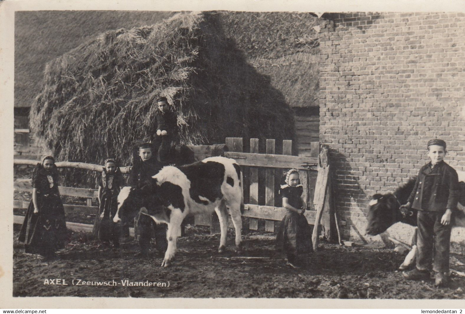 Axel (Zeeuwsch Vlaanderen)