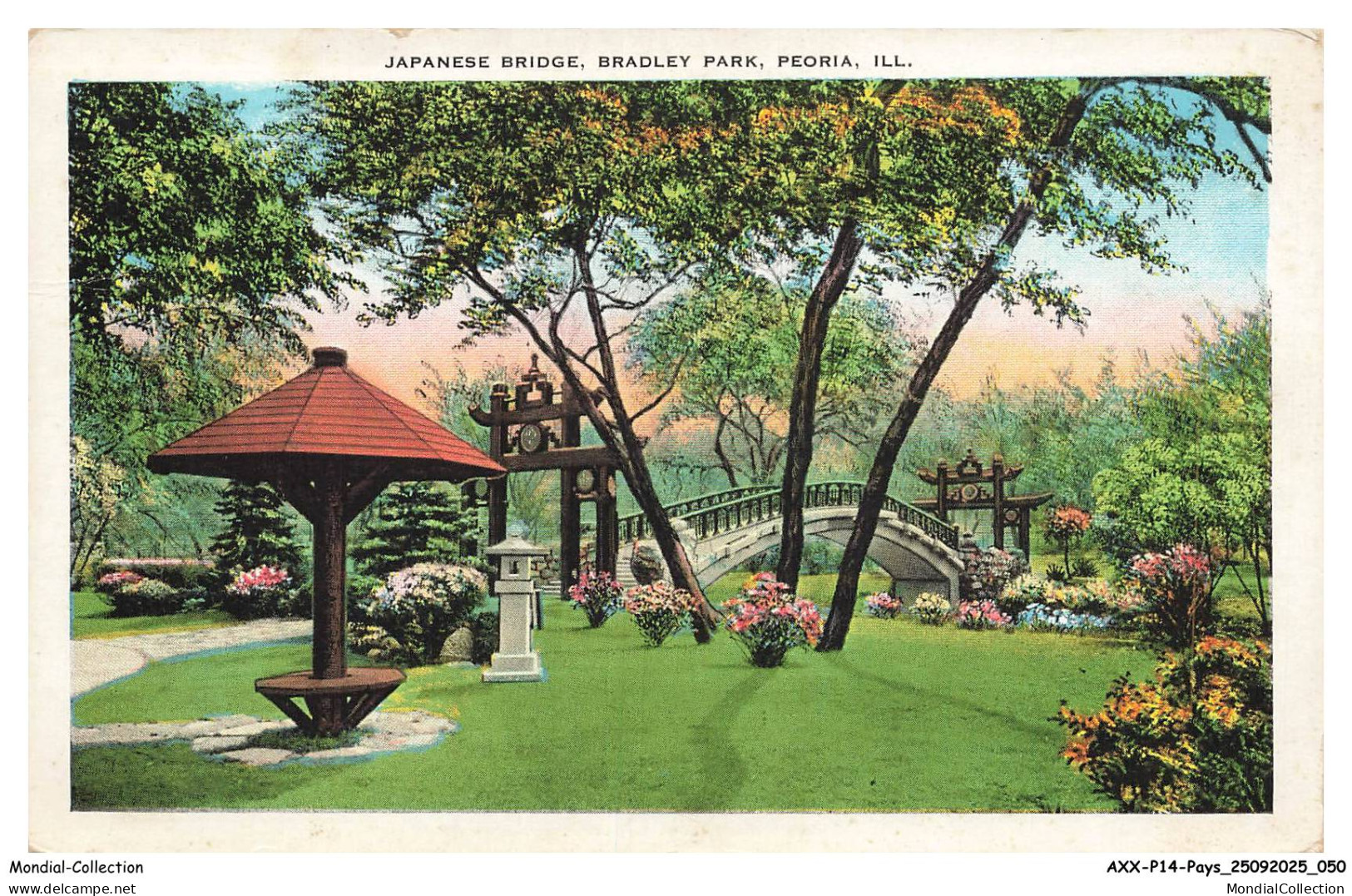 AXXP14-1416-ETATS-UNIS - PEORIA - Japanese bridge - Bradley park