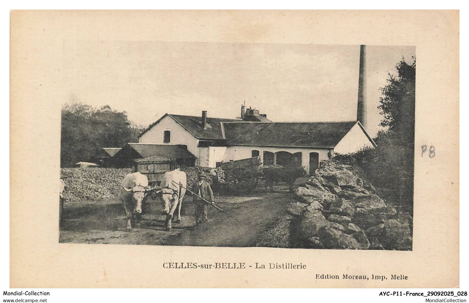 AYCP11-1046-79 - CELLES-SUR-BELLE - La distillerie