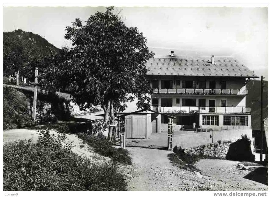 B - 74 - CHEVENOZ - E.63879 - l'edelweiss