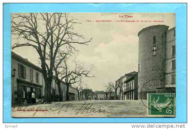 B - 81 - SALVAGNAC - centre ville