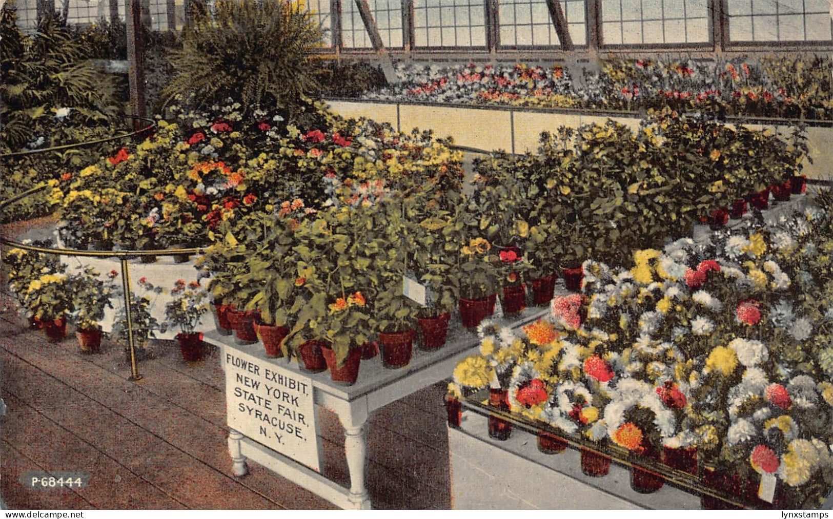 B028 US Flower Exhibit New York State Fair Syracuse vintage postcard