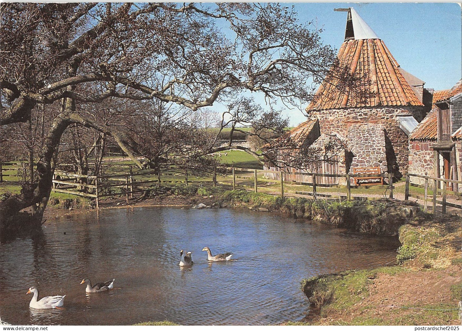 B100289 duck canard east linton lothian watermill mill   scotland