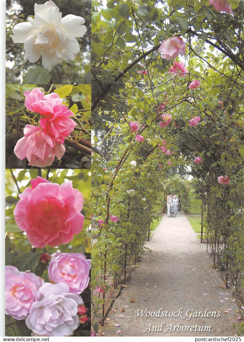 B100641 woodstock gardens and arboretum kilkenny  ireland