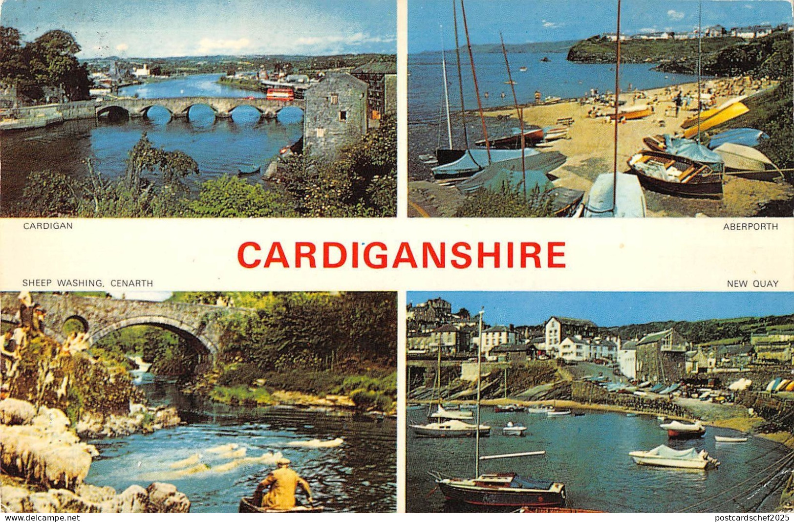 B101390 cardiganshire  wales 14x9cm