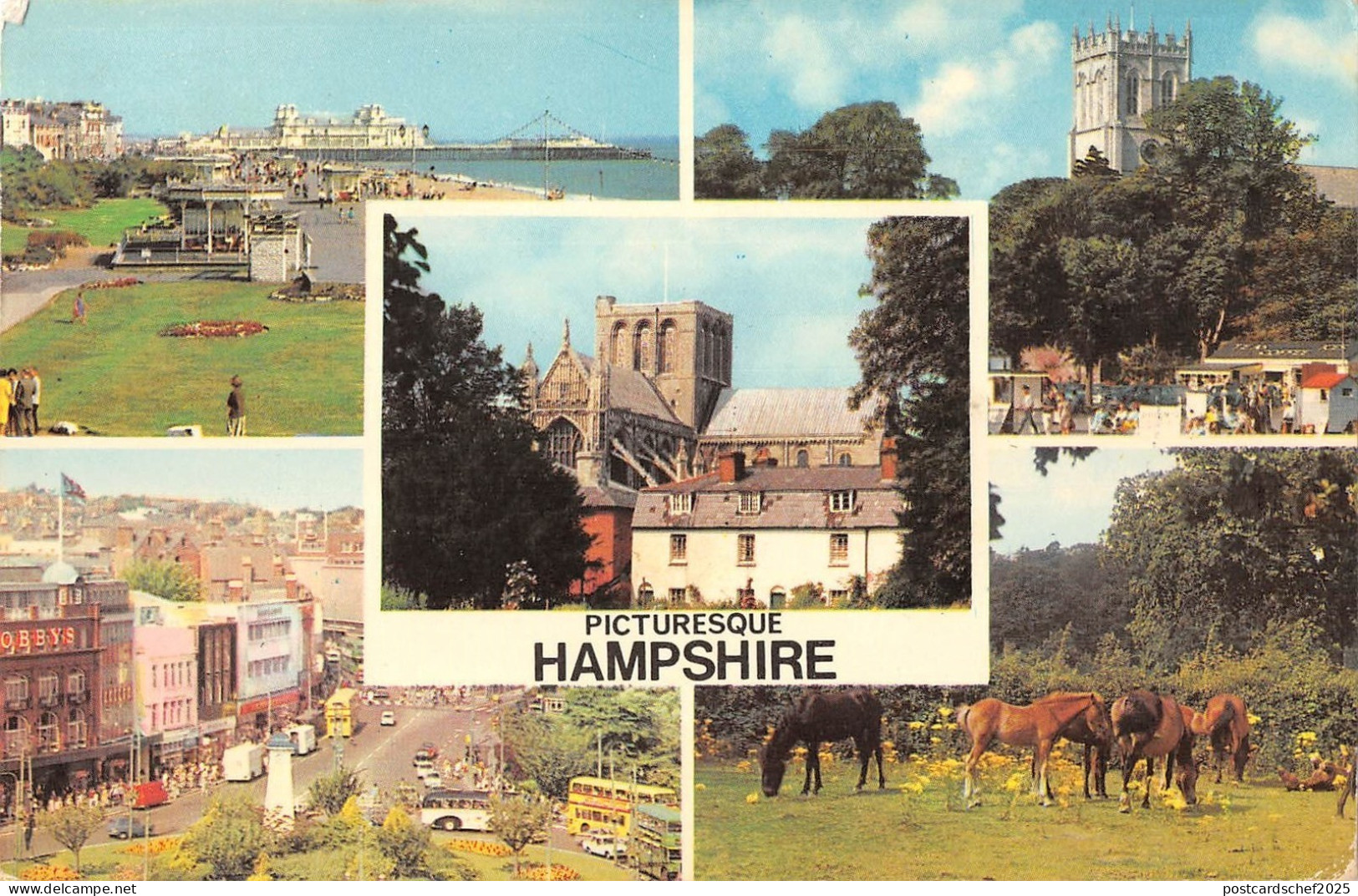 B103820 picturesque hampshire horse    uk