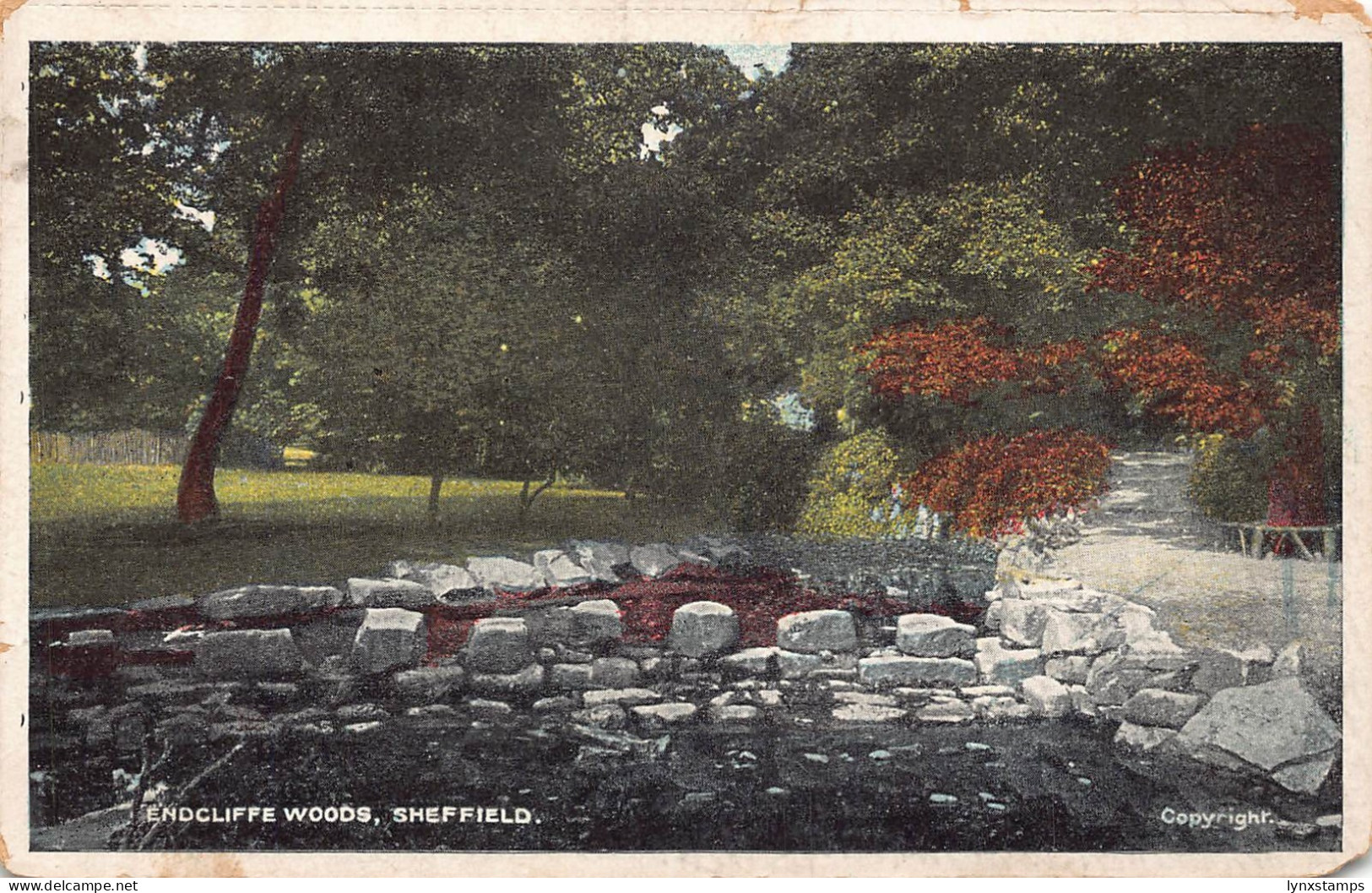 B182 England 1907 Endcliffe Woods Sheffield vintage postcard
