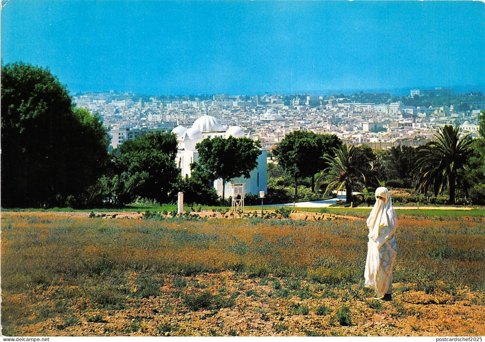 B29586 Tunisia  tunisia