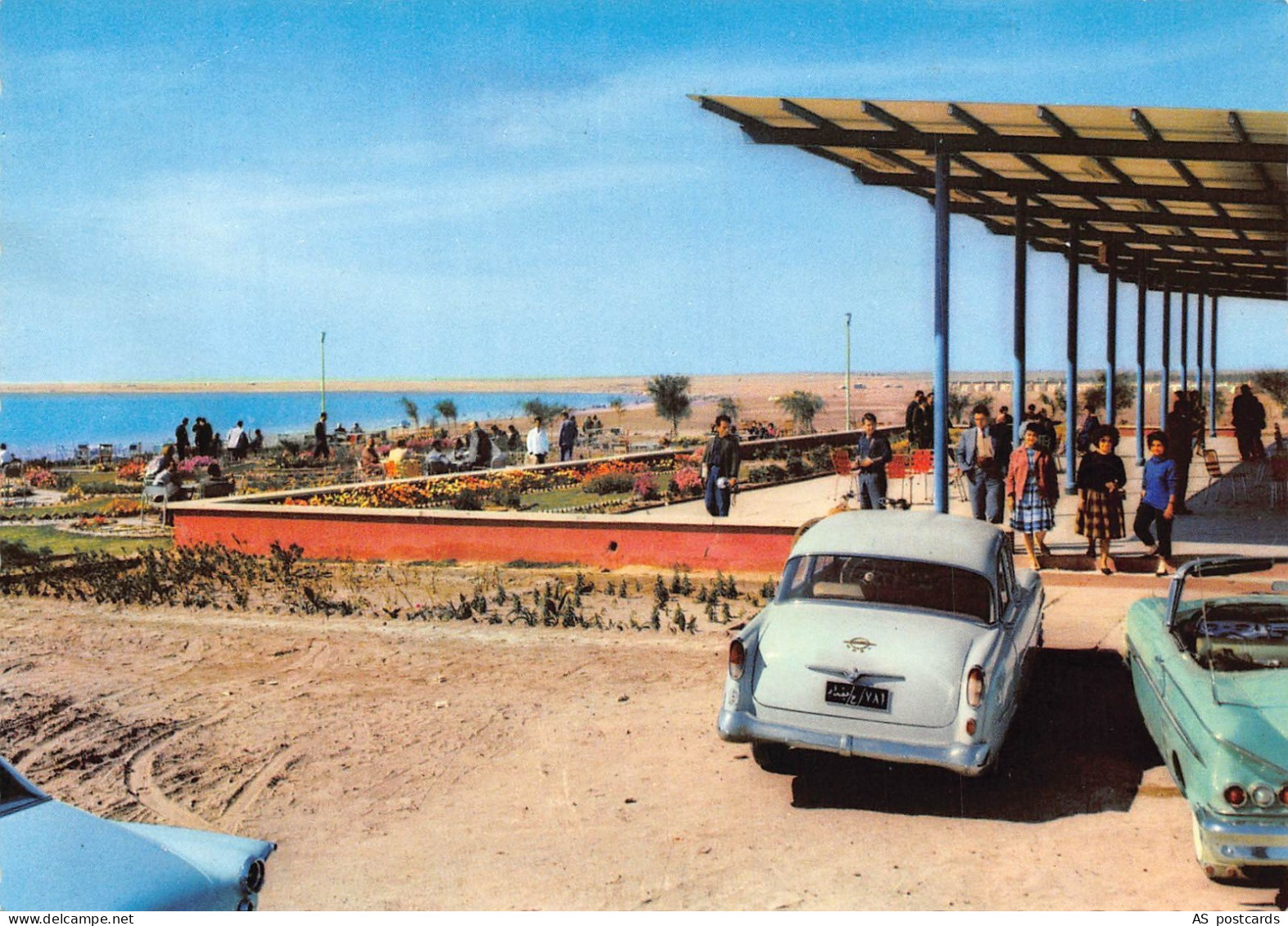 B320 Iraq Habbaniya Lake Cars vintage postcard