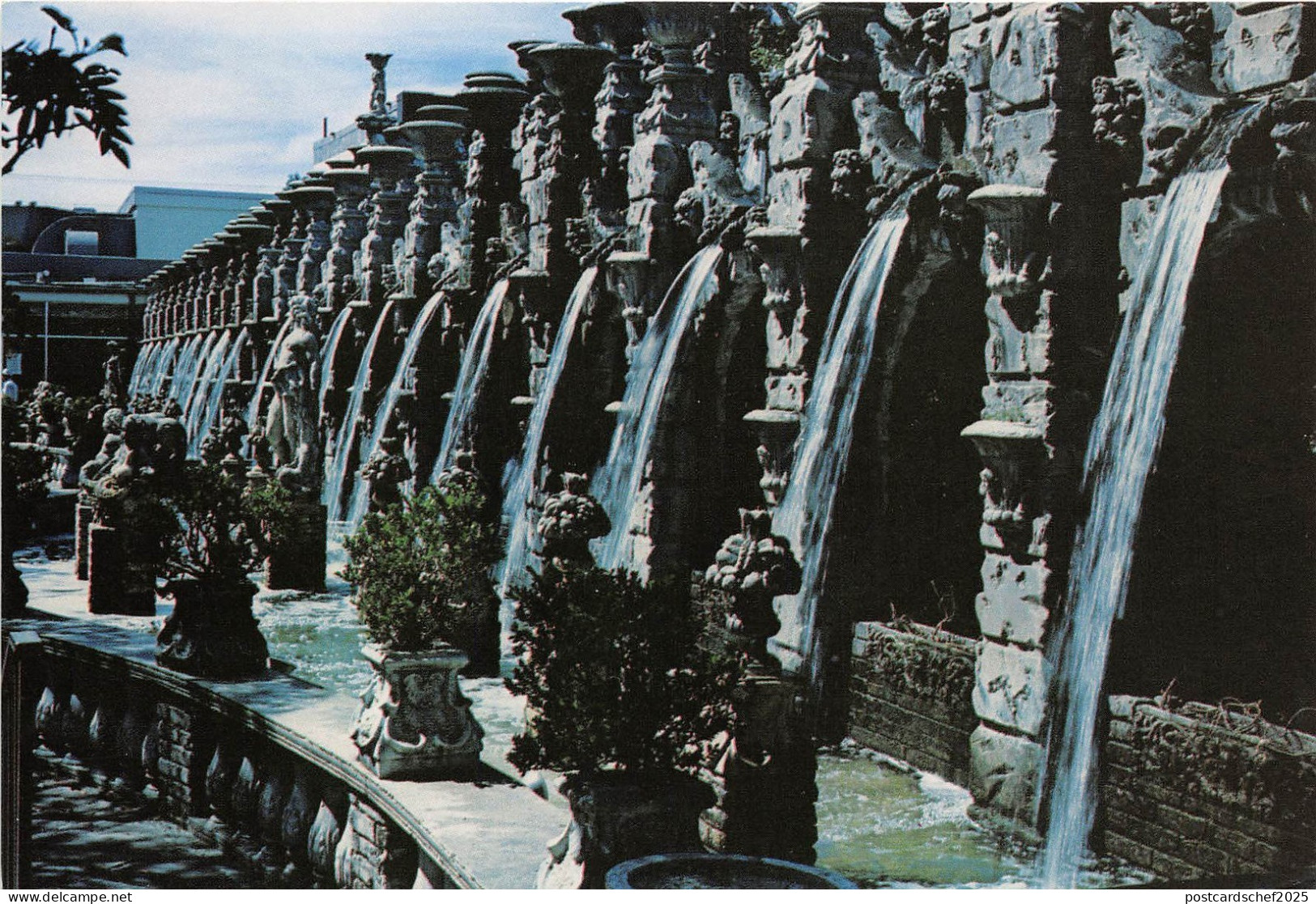 B32447 Clearwater Florida  usa