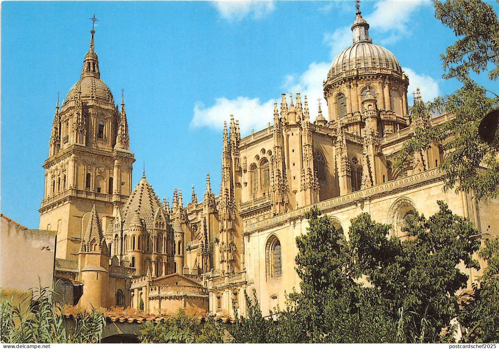 B33293 Salamanca Catrdrales Nueva  spain