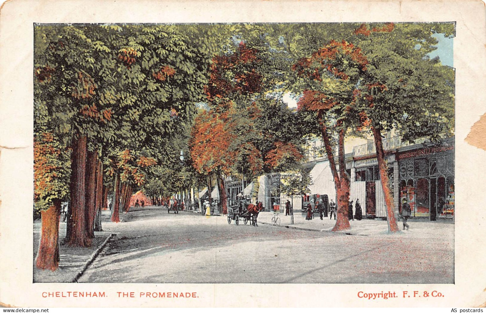 B397 England Cheltenham Promenade vintage postcard