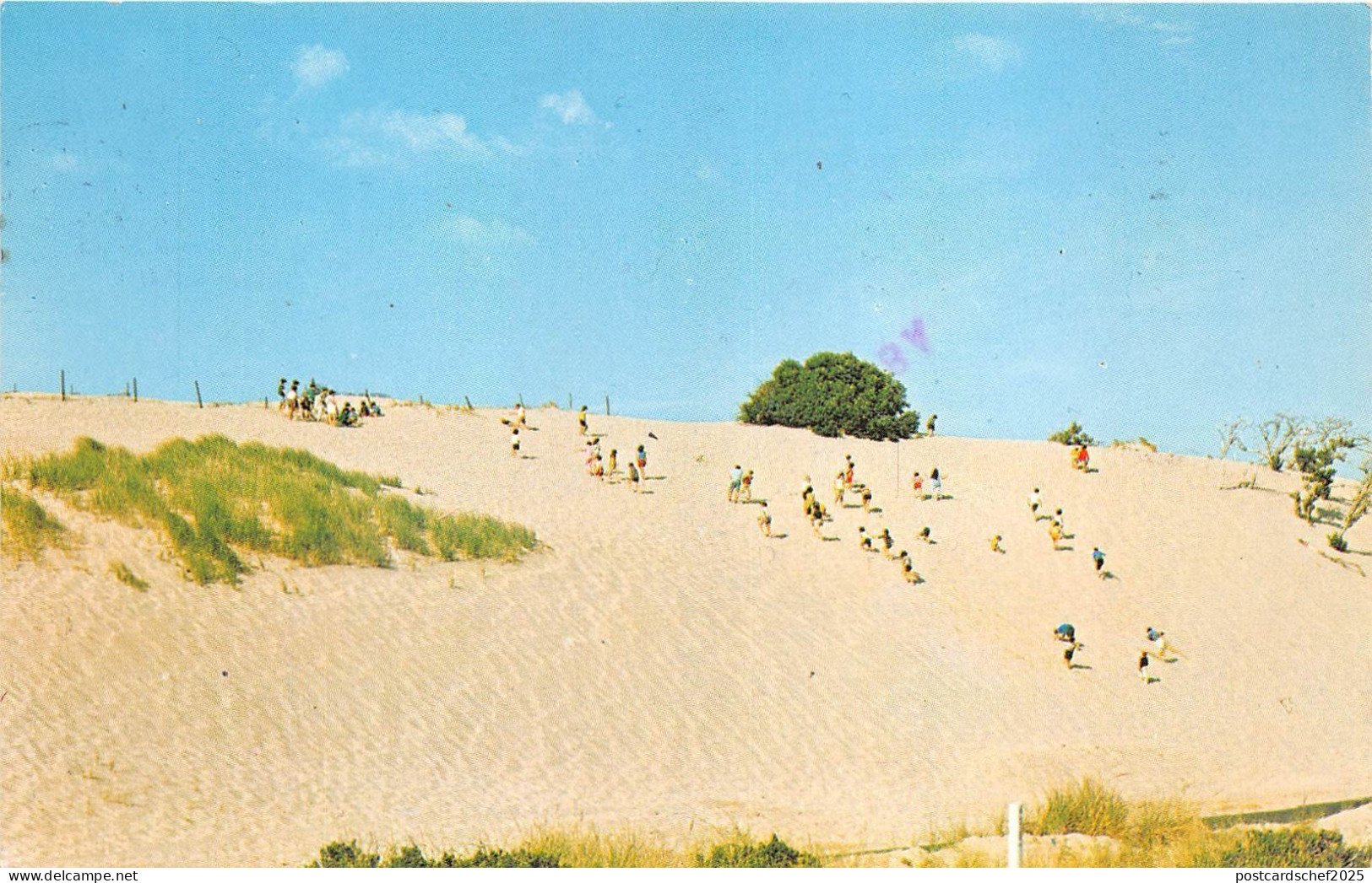 B47998 Cape Cod Dunes  usa