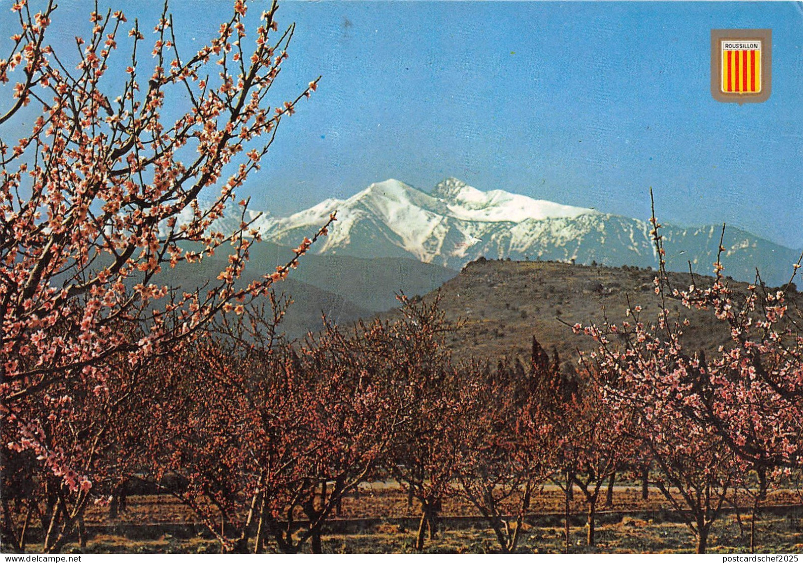 B49668 Roussillon Le Canigou  france