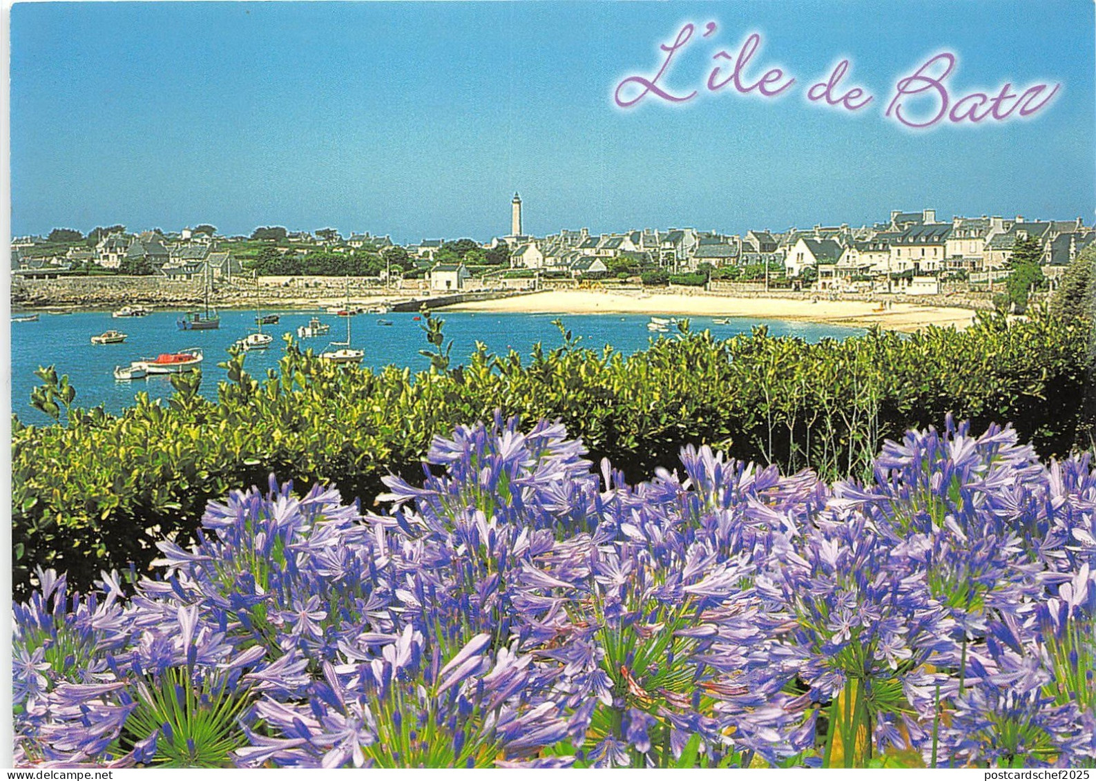 B50118 Ile de Batz le port   france