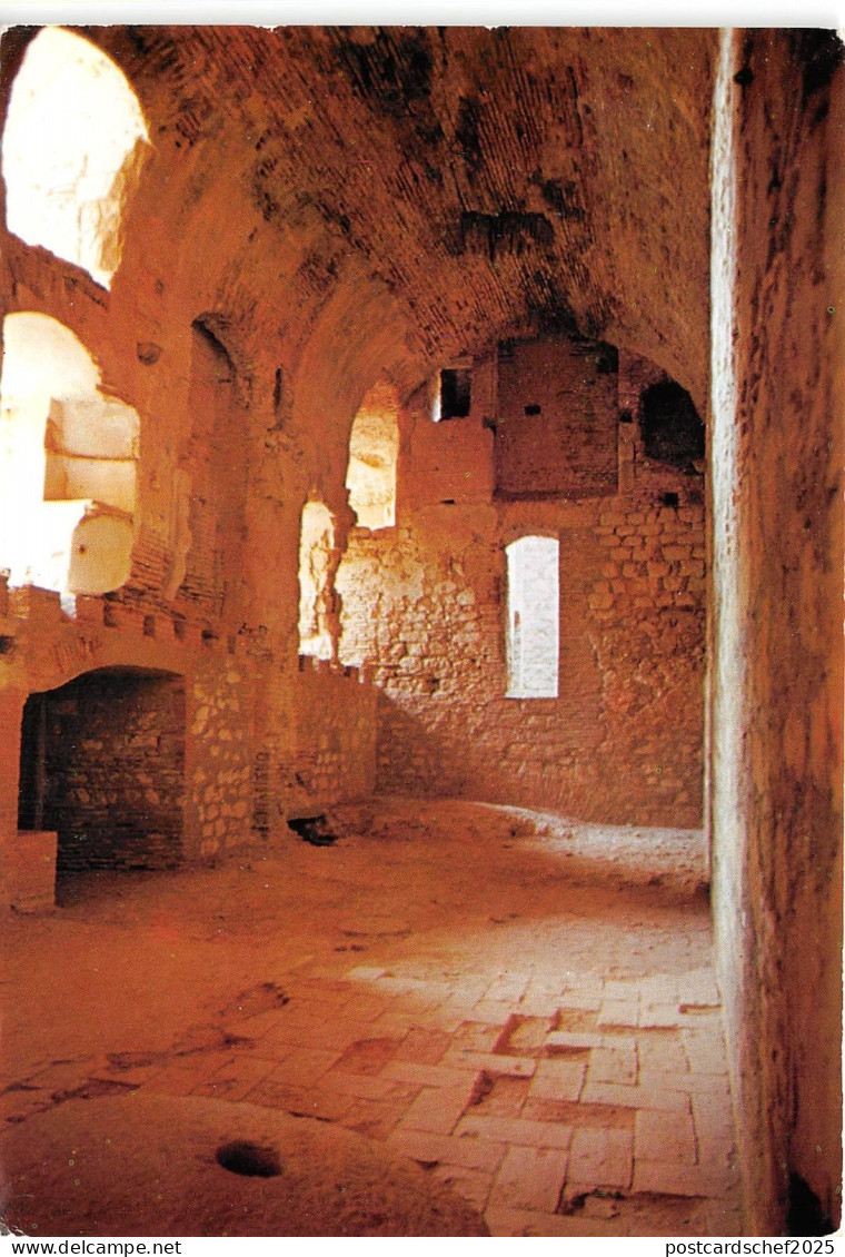 B50348 Salses Au Chateau Fort  france