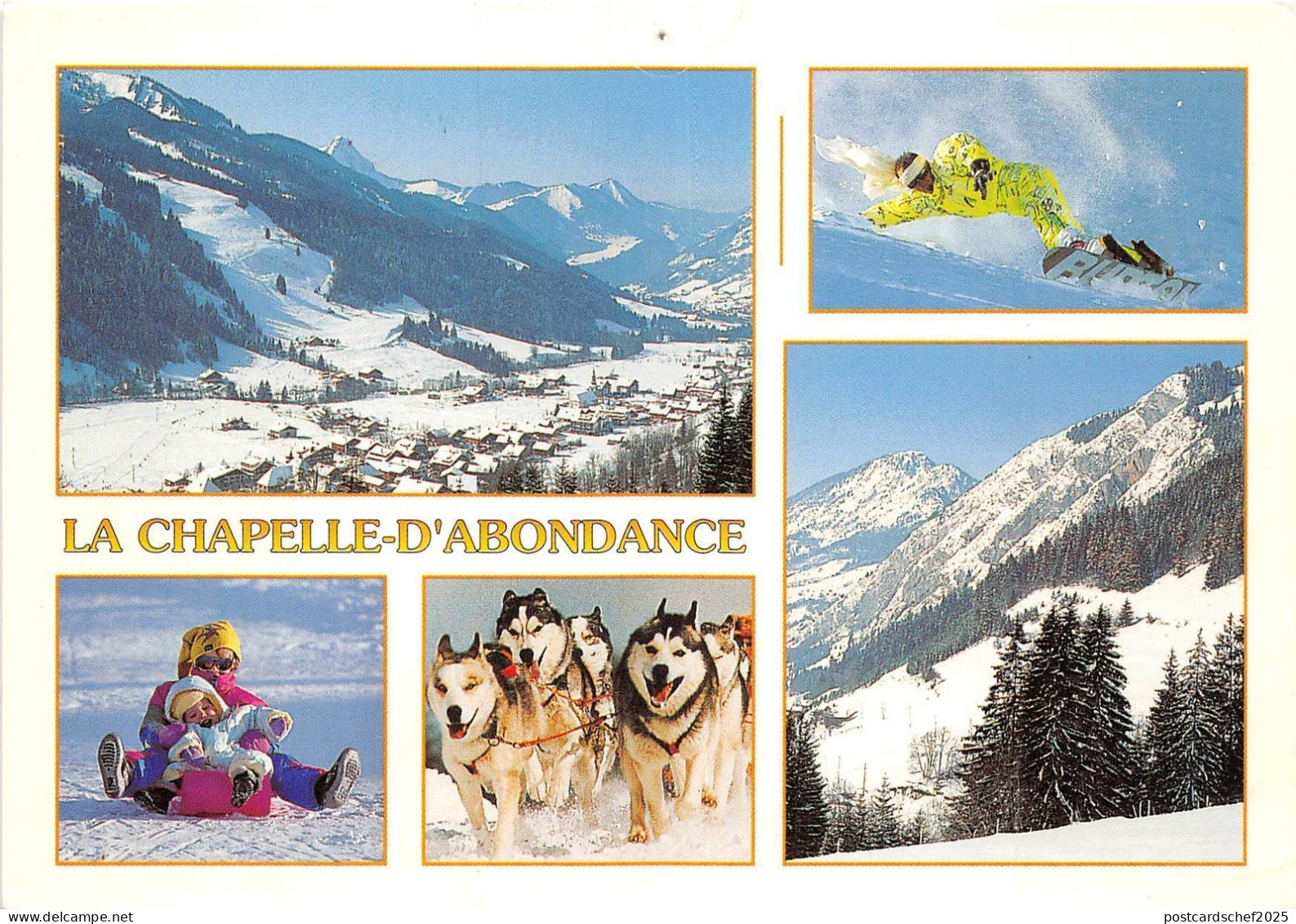 B50718 La Chapelle D`Abondance dog chien   france