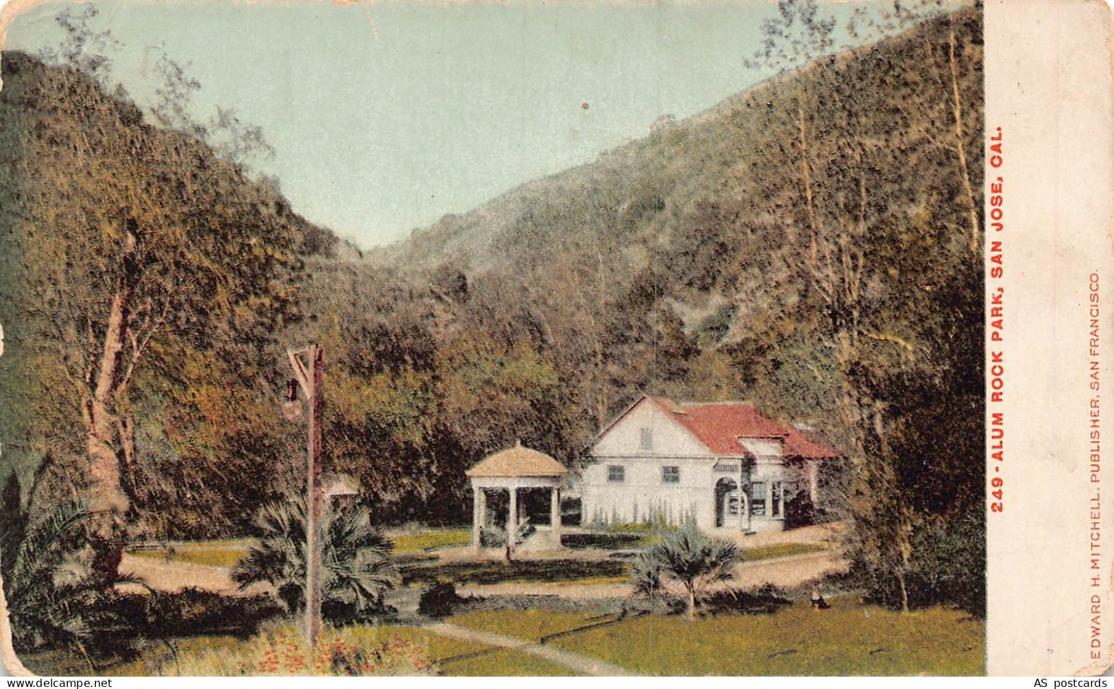 B514 US Alum Rock Park San Jose California vintage postcard