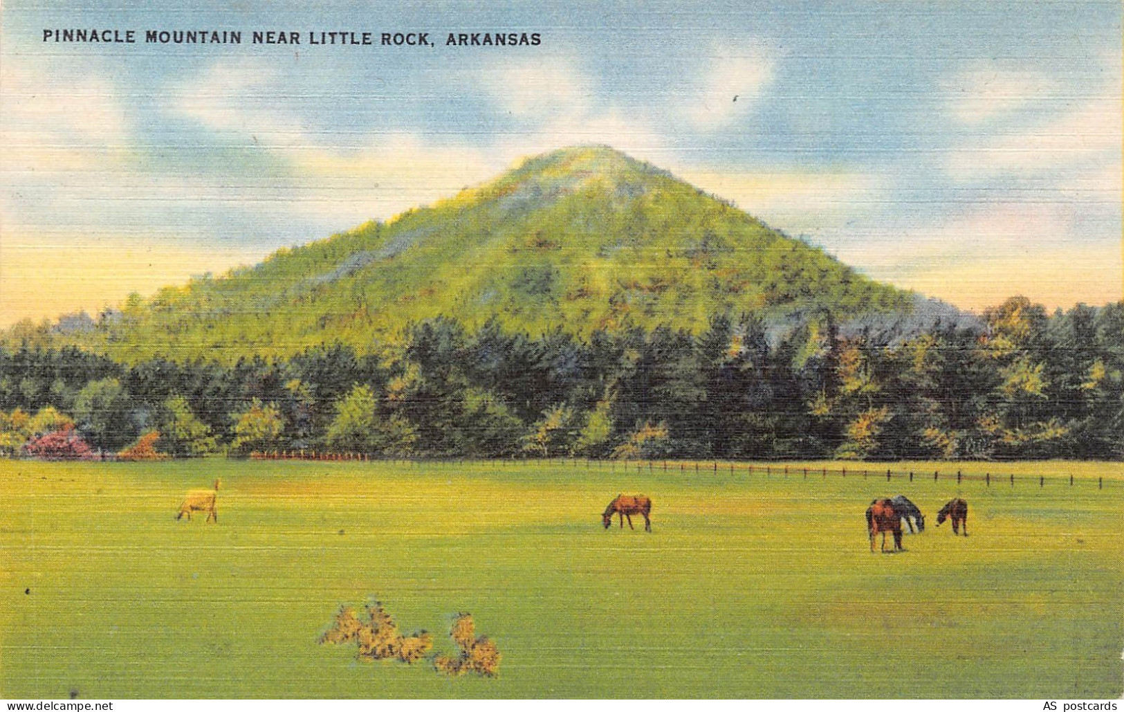 B516 US Pinnacle Mountain near Little Rock Arkansas vintage postcard