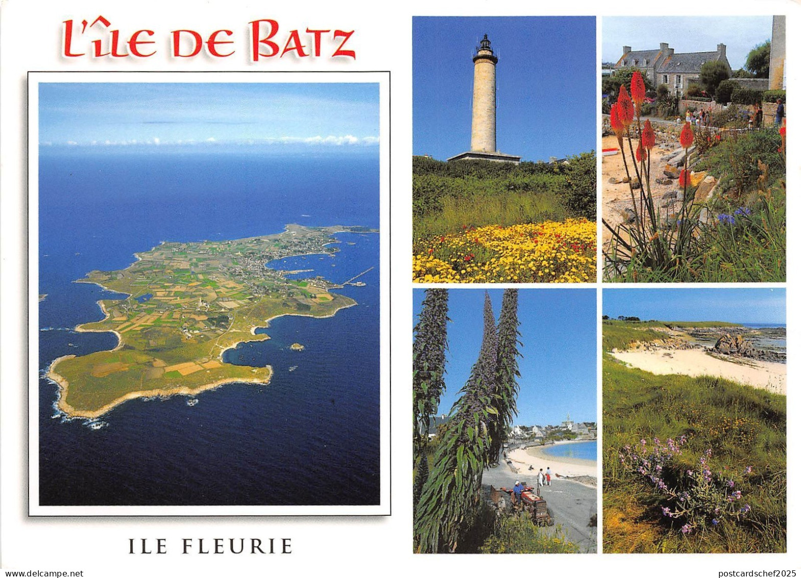 B51657 Ile de Batz  france