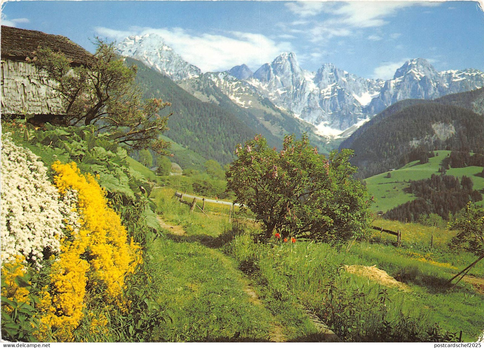 B52297 Chateau-d'Œx Rocher du Midi  switzerland