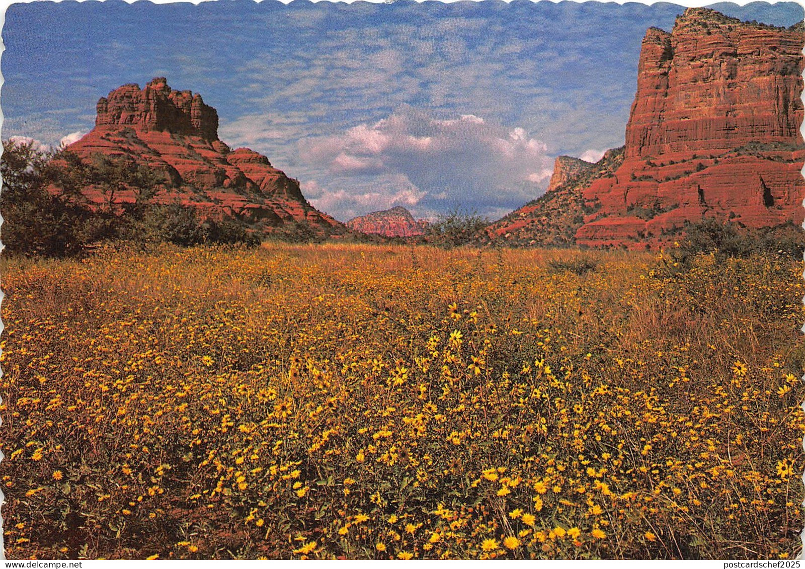 B53218 Sedona Arizona Bell and Cathedral Rocks  usa