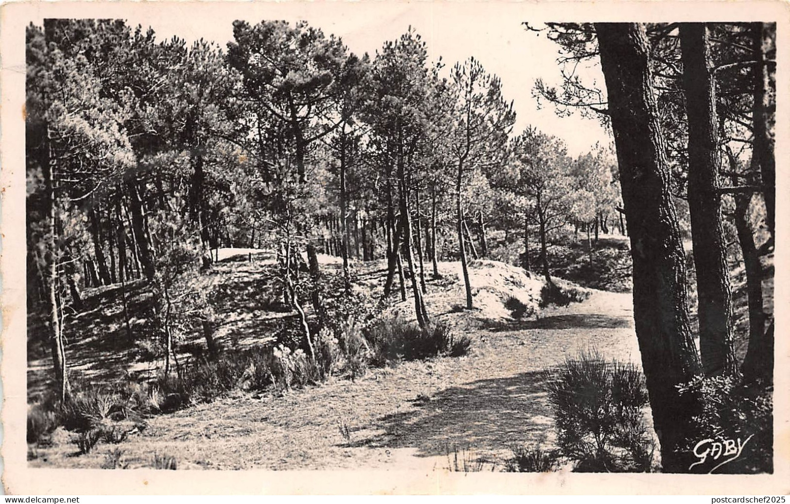 B56013 Saint Brevin Ocean La Foret  france