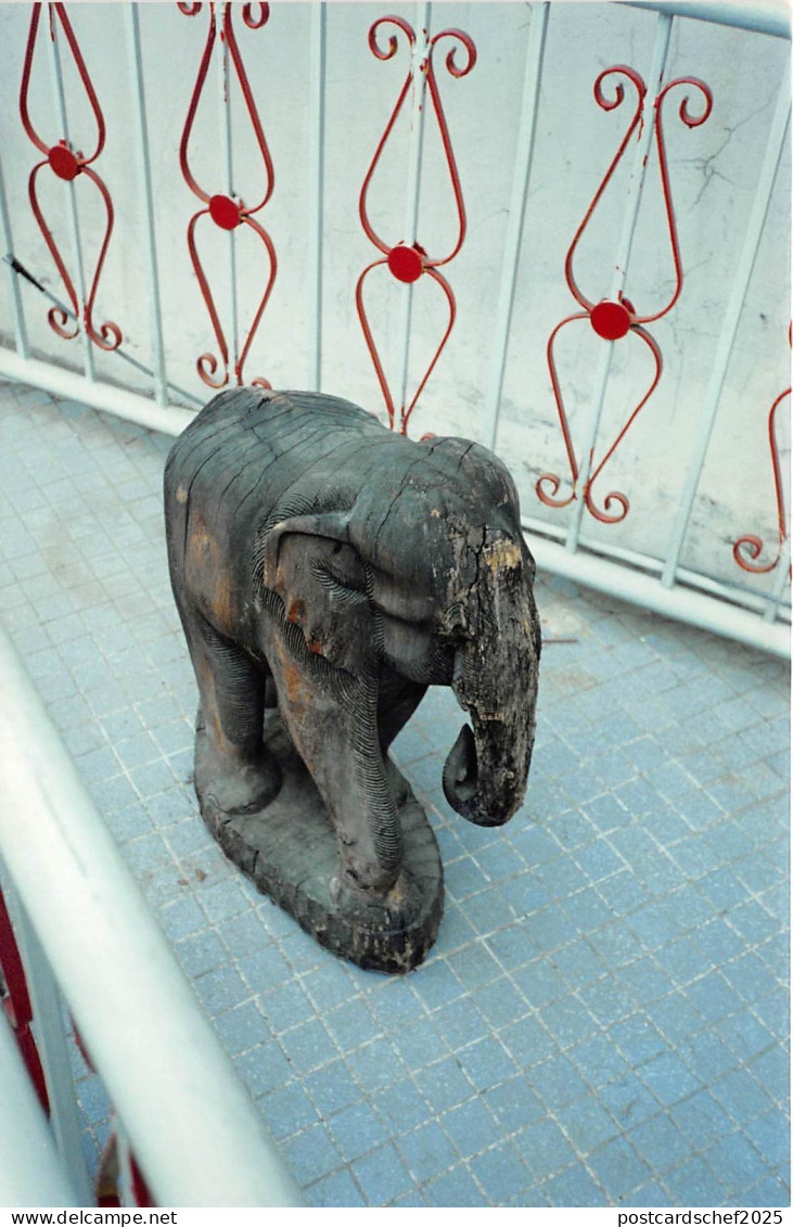 B70697 éléphant elephant Thailand Real photo photo réelle Thailand