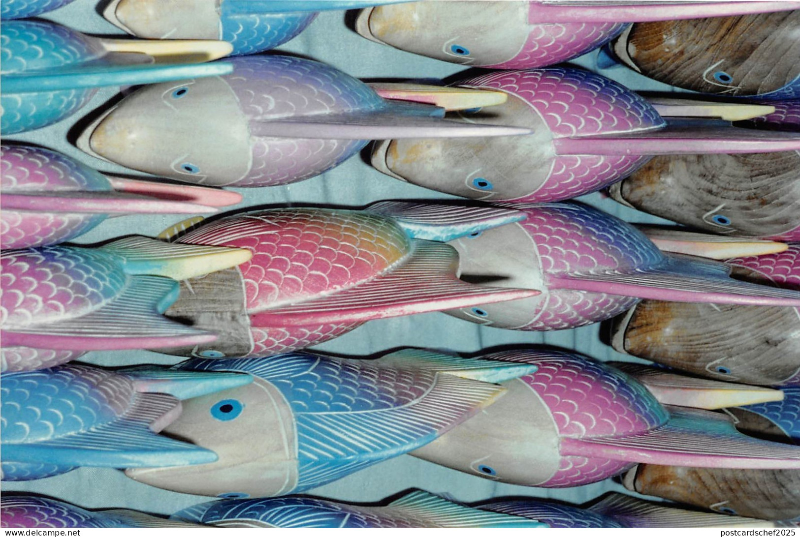 B70699 fish poissons Thailand Real photo photo réelle Thailand