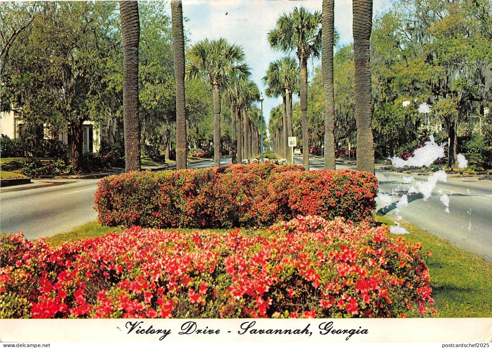 B73141 Savannah Victory drive USA