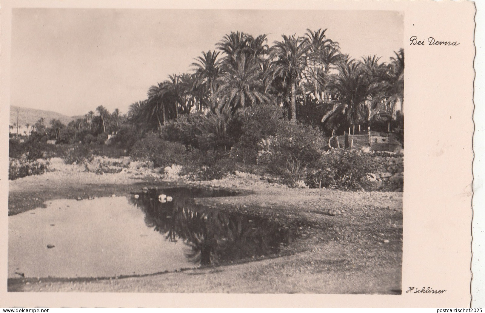 B81013 bei  derna  libia lybia  front/back image