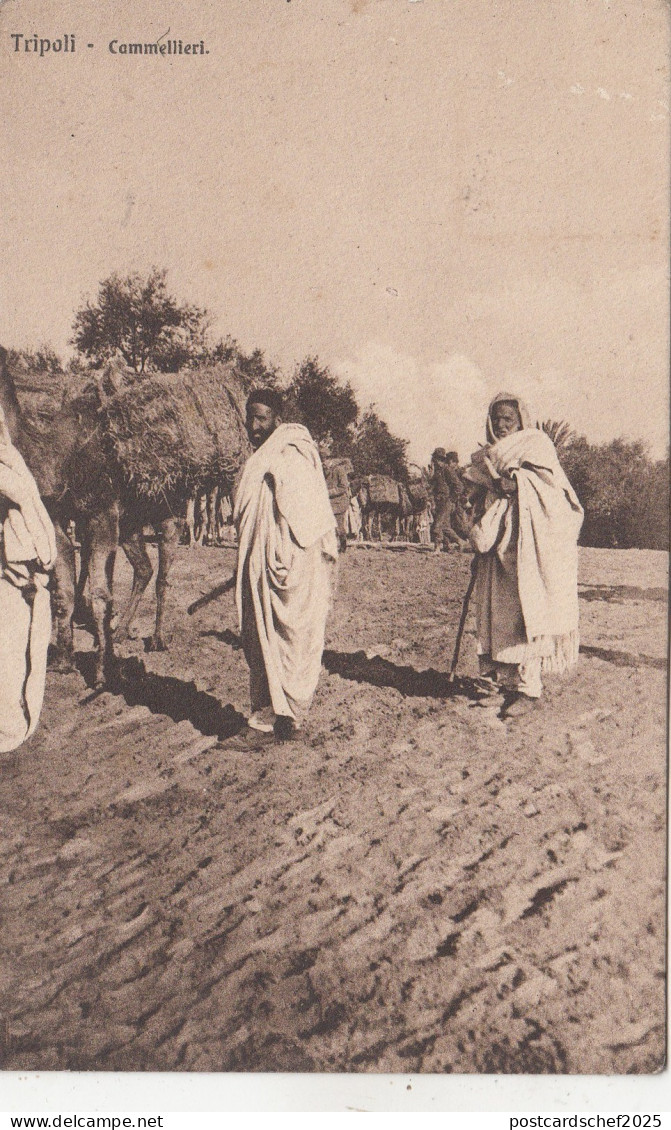 B81027 tripoli commellieri types  libia lybia  front/back image