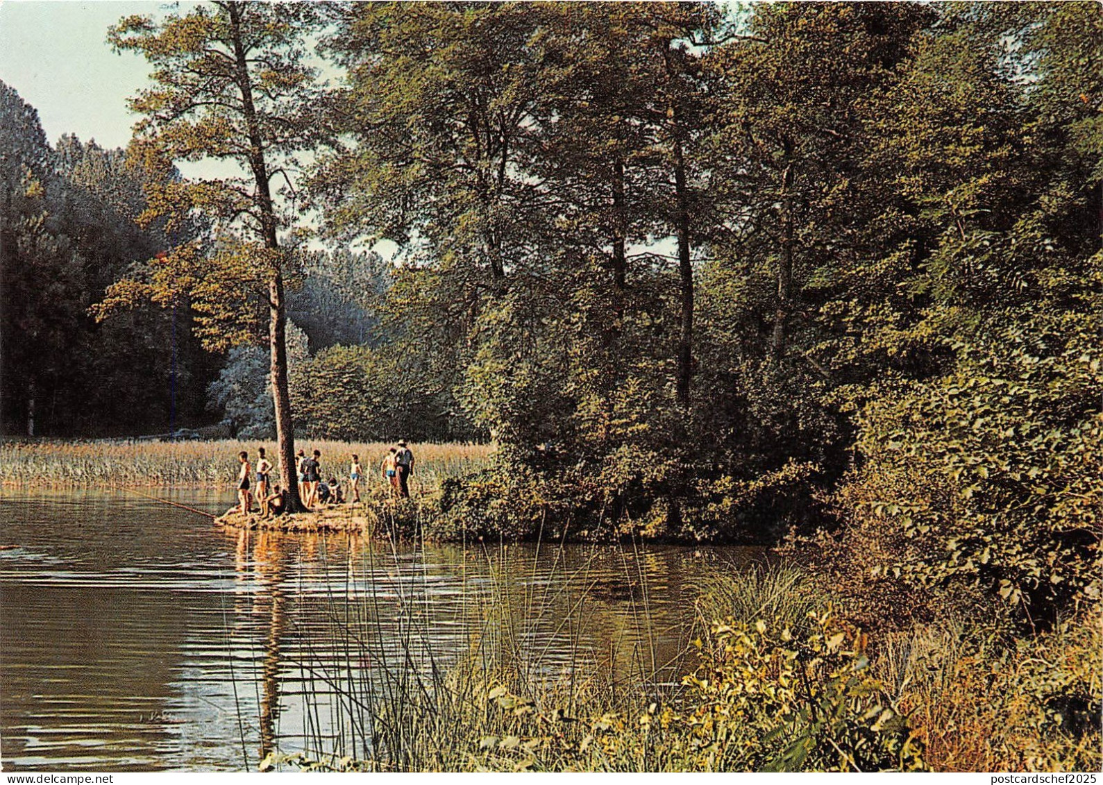B83097 bourgoin jallieu isere etang de rasiere  france
