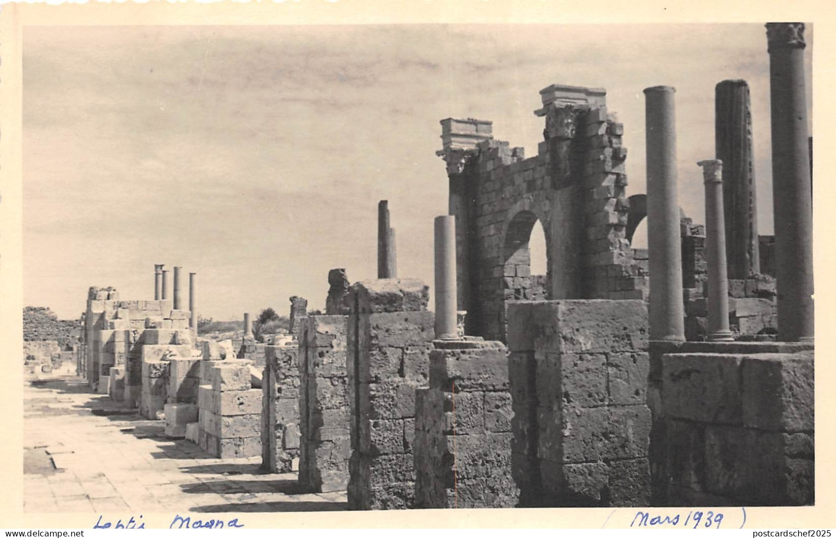 B84833 leptis magna    libia lybia