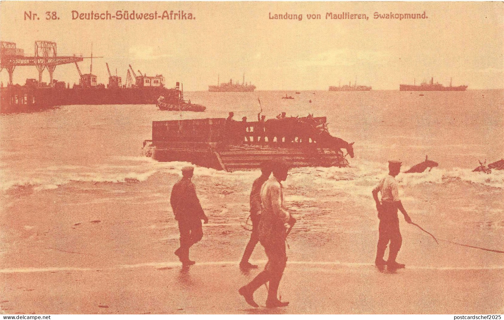 B8743 Namibia Swakopmund Landung von Maultieren