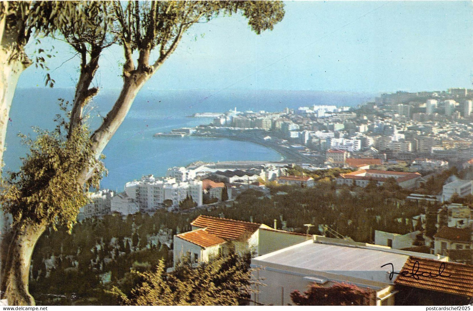 B92045 alger algeria surroundings of alger   africa