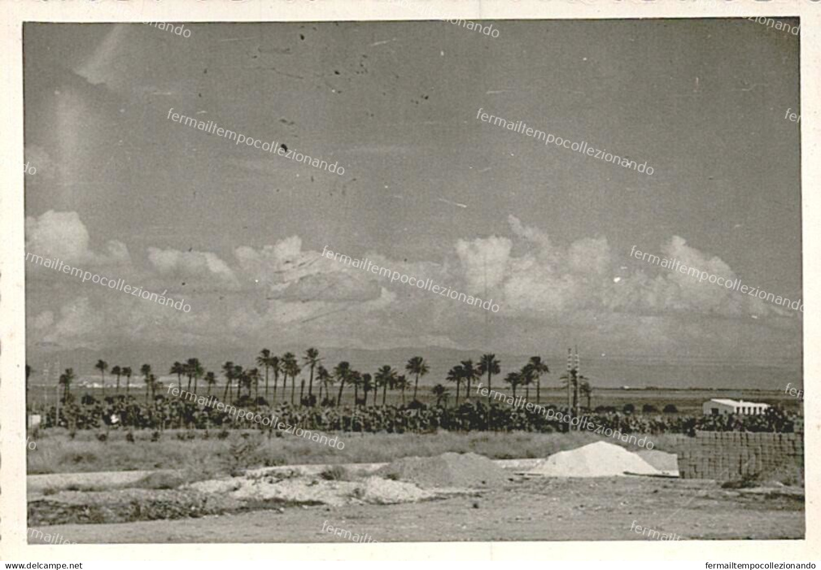 ba1 foto Quartu Sant'Elena cagliari panorama