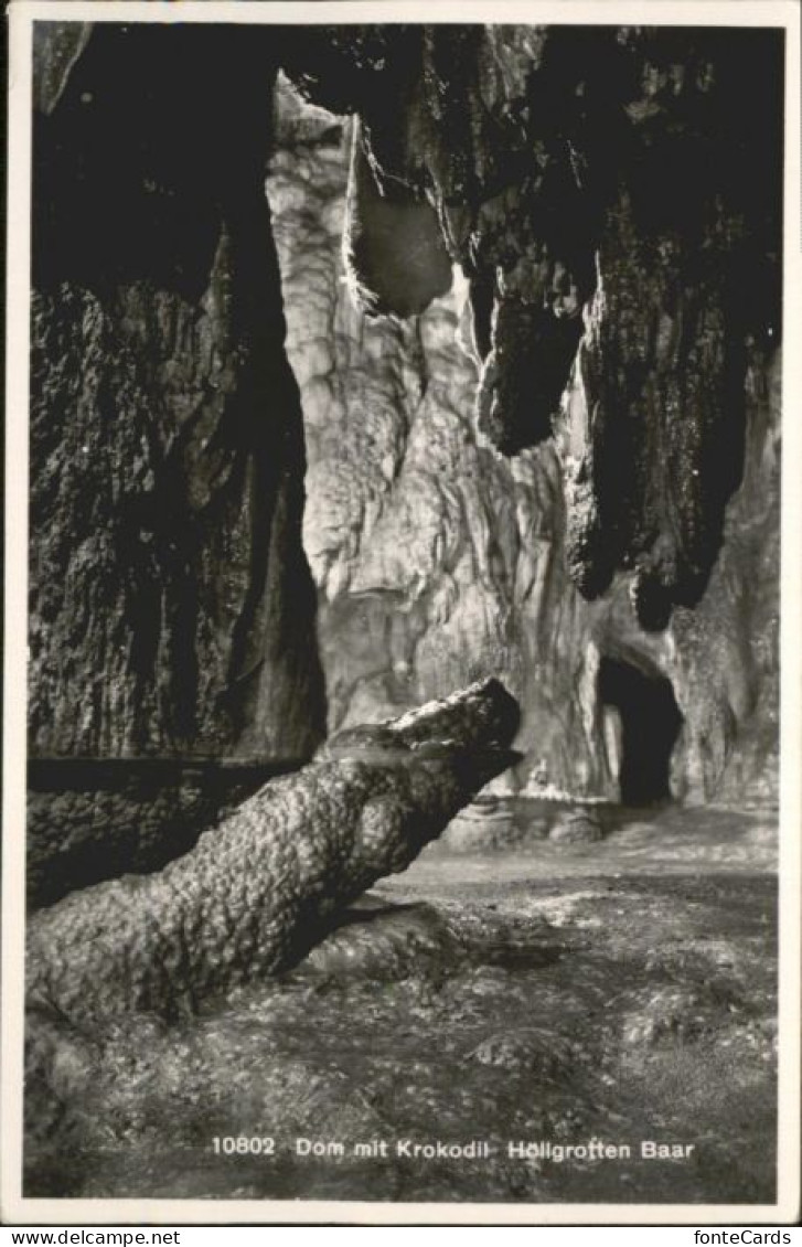 Baar ZG Baar Dom Krokodil Hoellgrotte