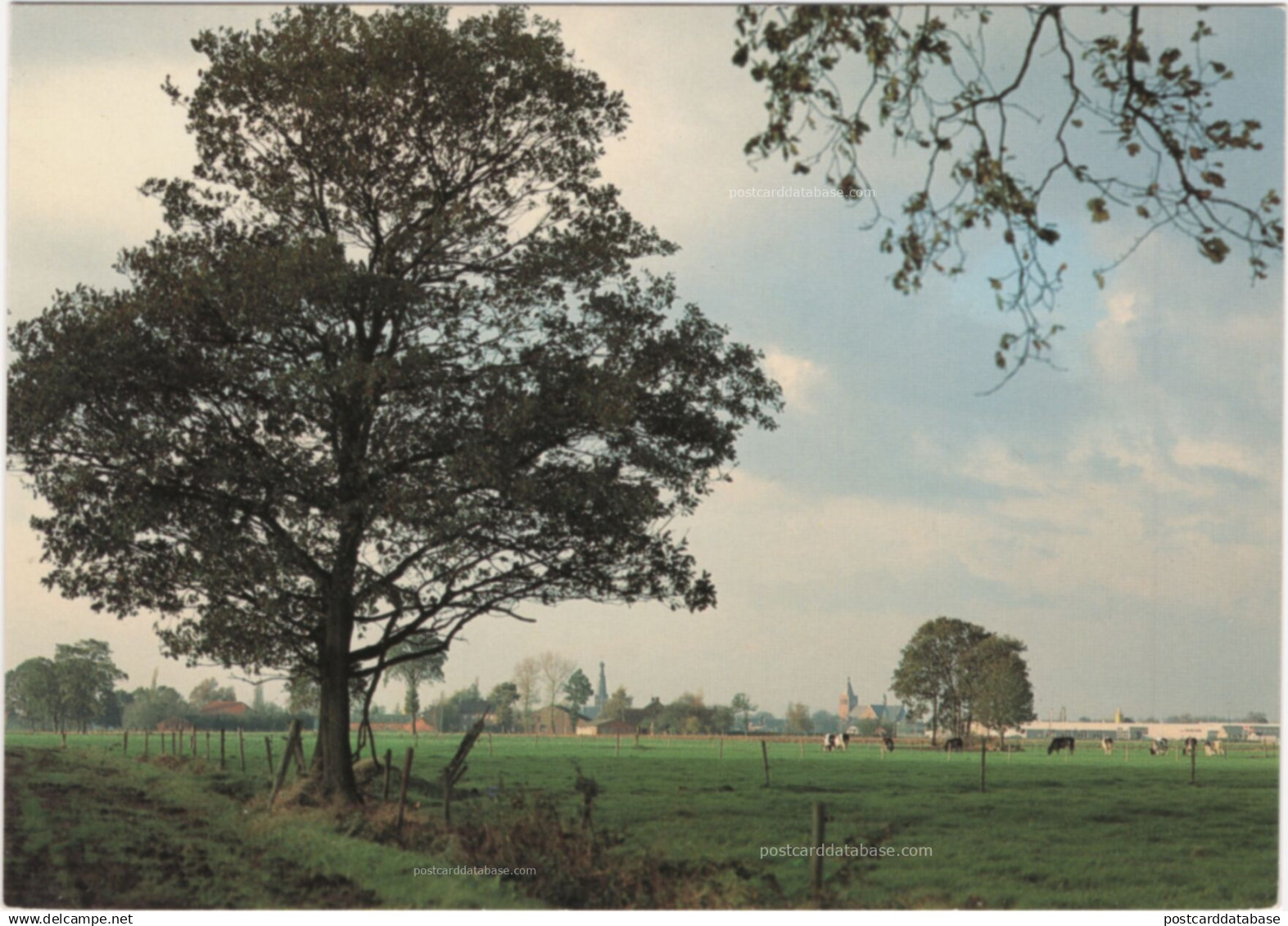 Baarle-Hertog-Nassau - Landelijk zicht